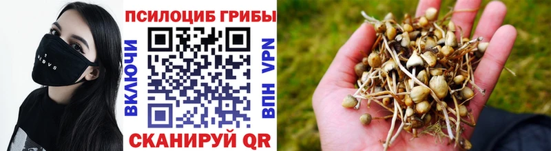 Галлюциногенные грибы мицелий  Соль-Илецк 